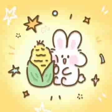 2025年12月17日更新：33个可用节点 | 适配小火箭、SSR、Clash、V2Ray